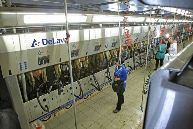 delaval.jpg