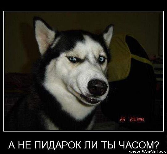 demotiv (19).jpg