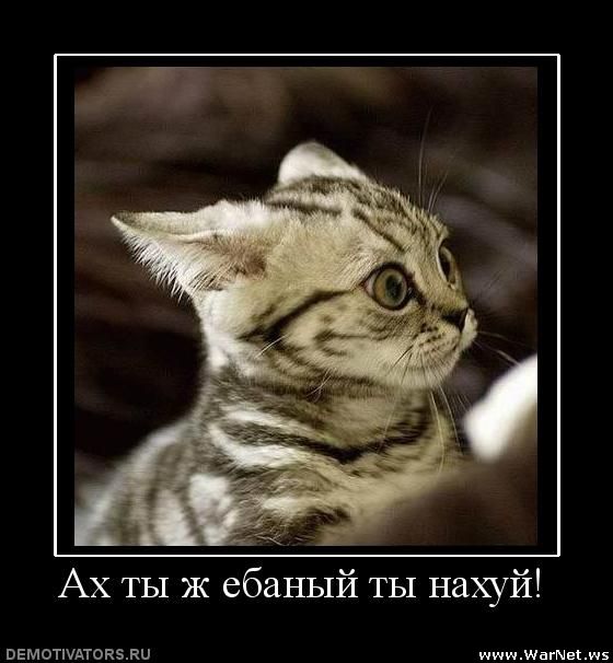 demotiv (80).jpg