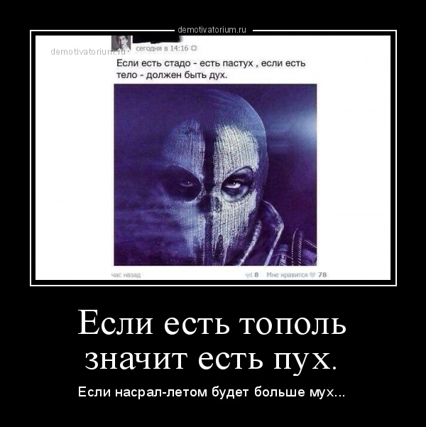 demotivatorium_ru_esli_est_topol_znachit_est_puh_85558.jpg
