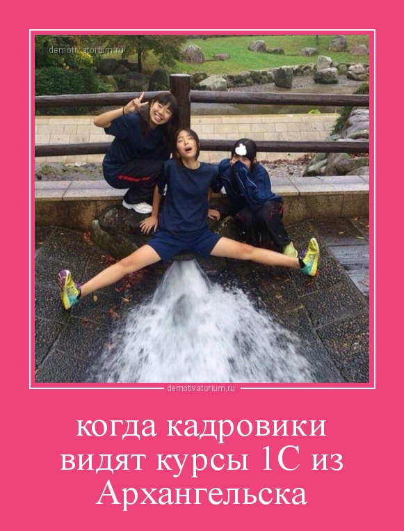 demotivatorium_ru_kogda_kadroviki_vidjat_kursi_1s_iz_arhangelska.jpg