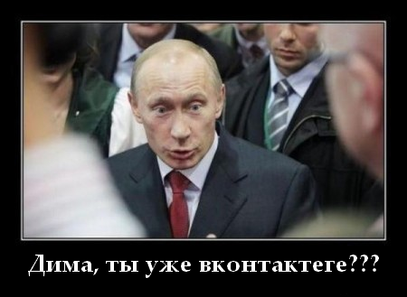 dima.png
