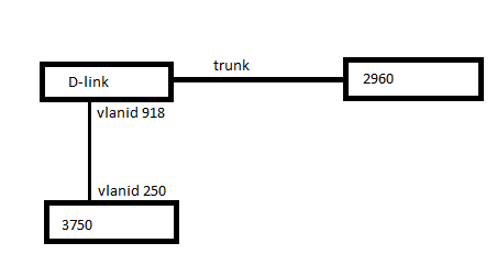 dlink_vlan.png