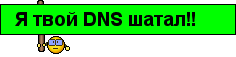 dns.png