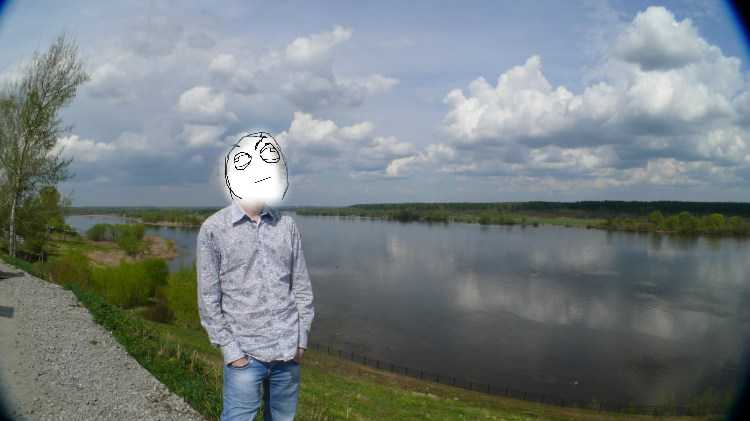 drosha.jpg