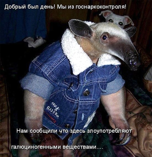 drugs.jpg
