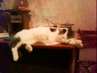 DSC00004.jpg