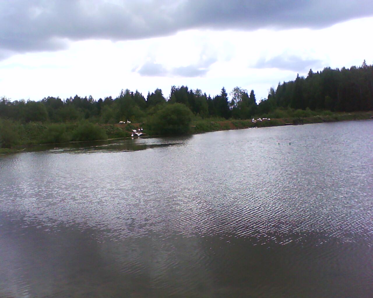 DSC00099.jpg