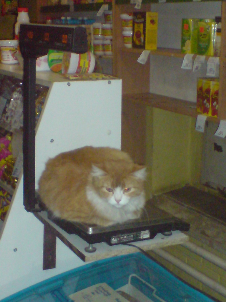 DSC00357.JPG
