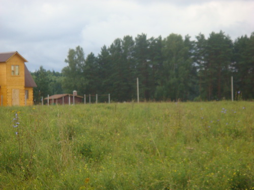 DSC00966.jpg