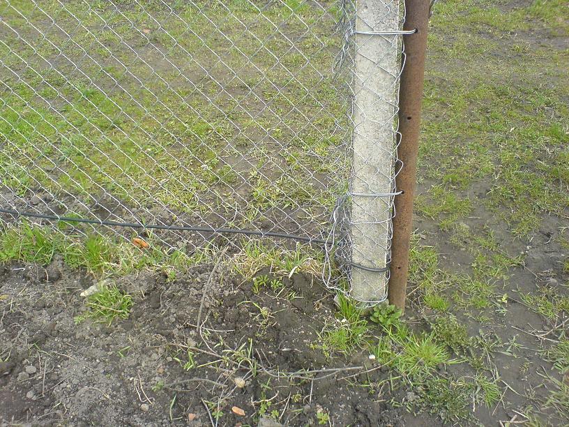 DSC01188.JPG