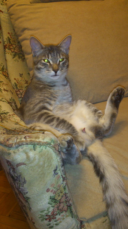 DSC_0032_resize.jpg