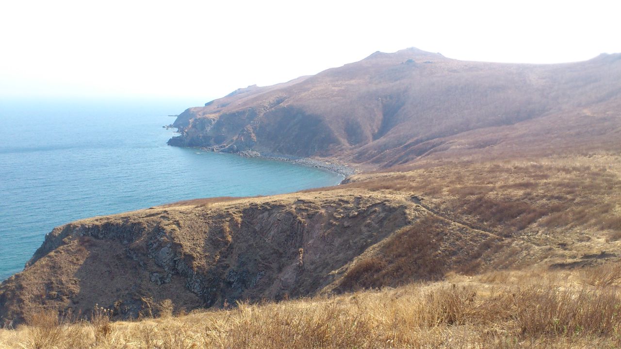 DSC_0098s.jpg