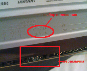 dvd.png