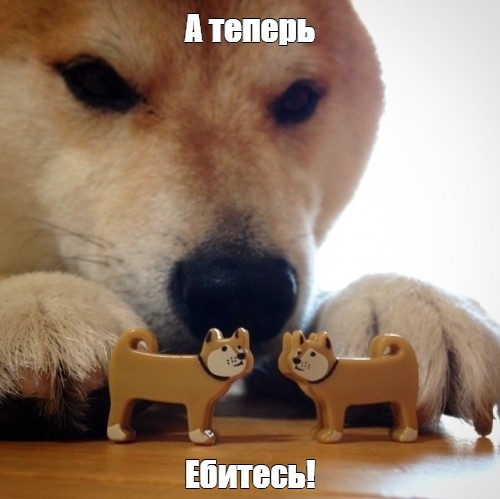 e0dac3f68a0aa3f95a75b262d35f7466.jpg