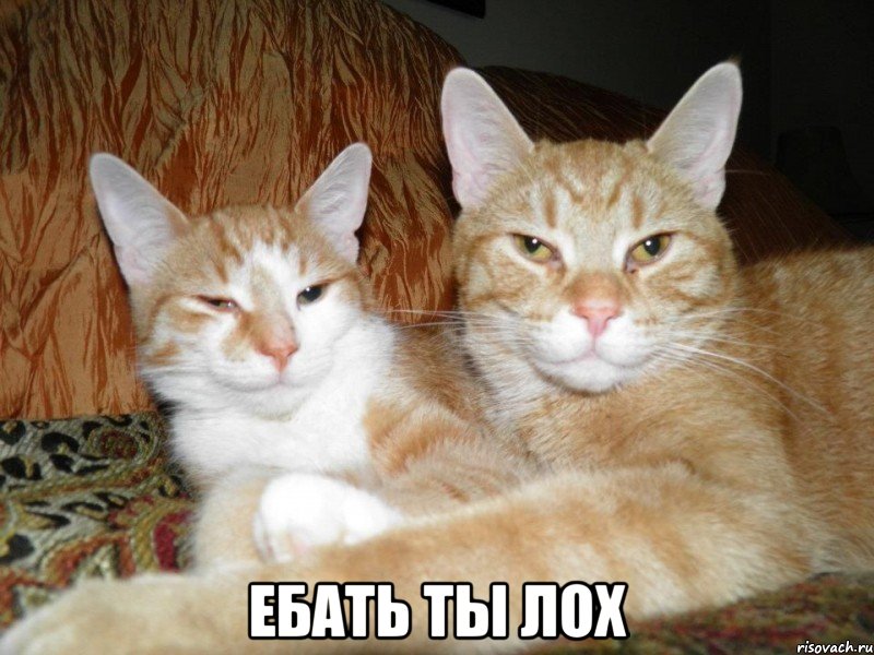 ebat-ty-loh_48612460_big_.jpeg