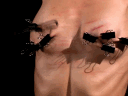 ec000.gif