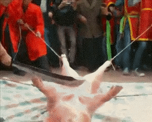ezgif-2-b2d9c8910c.gif