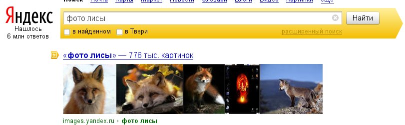 fox.jpg