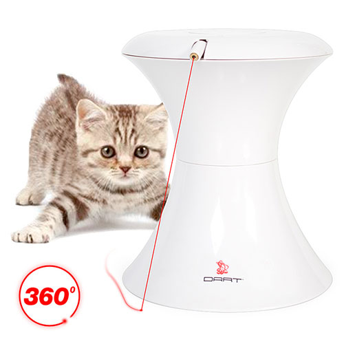 frolicat.jpg