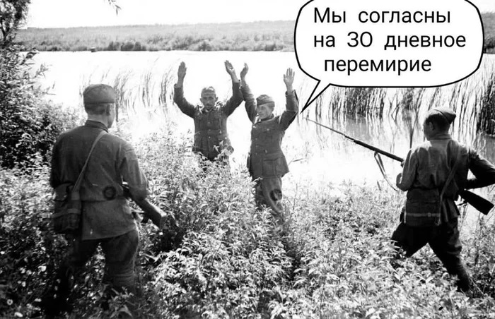 gersjo2m.jpg