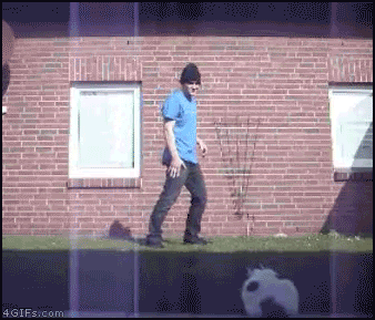 giphy1111.gif