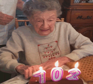 giphy (17).gif