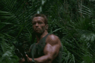 giphy (1).gif