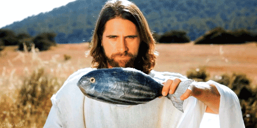 giphy (35).gif
