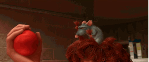giphy.gif