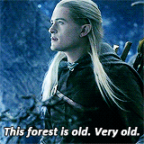 giphy (51).gif