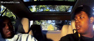 giphy (88).gif