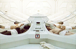giphy (96).gif