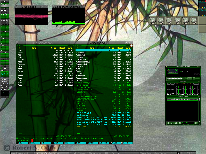 gkrellShoot_2011-05-08_231014.png