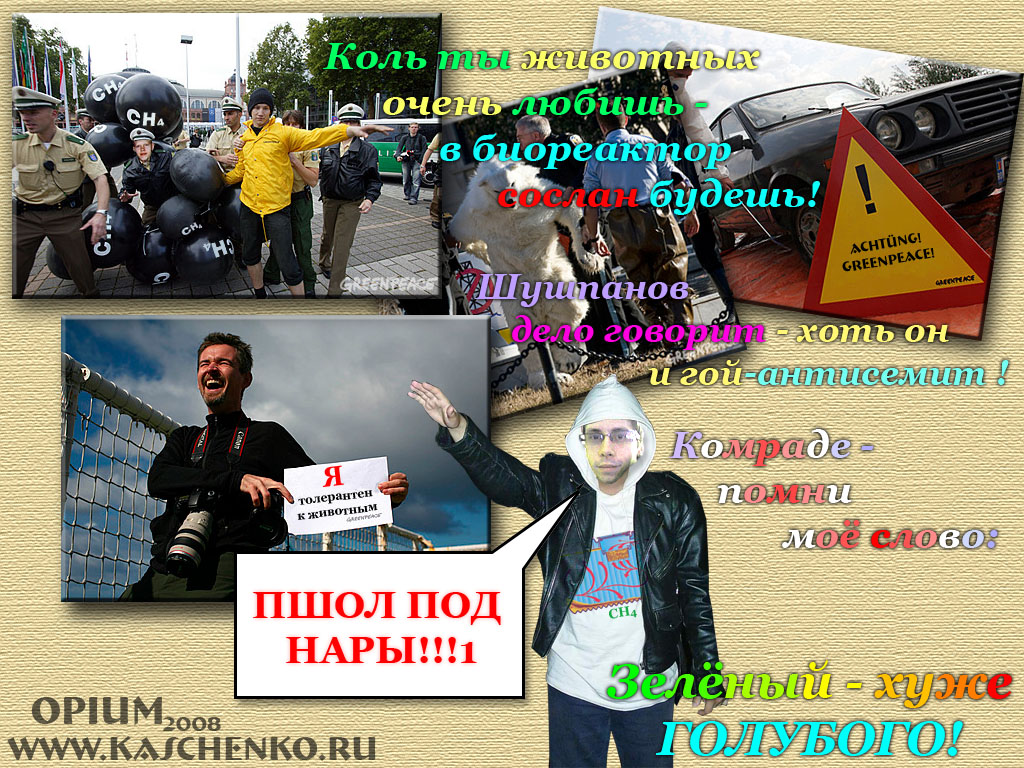 greenpeace2b.jpg