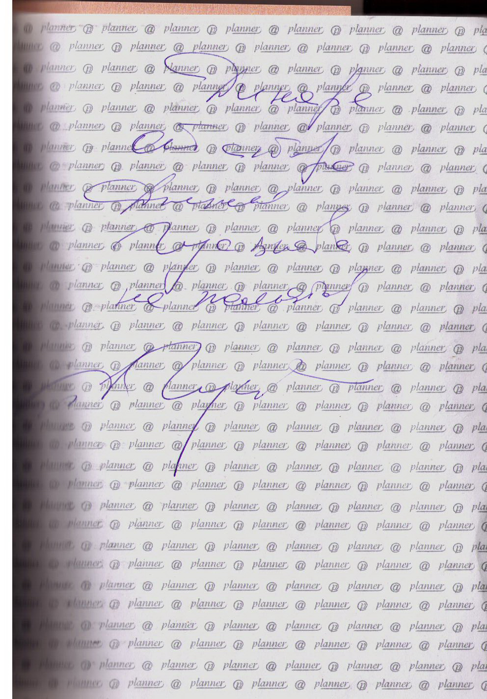 guskov3.jpg