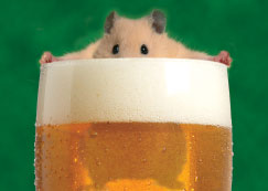 hamster-in-beer.jpg