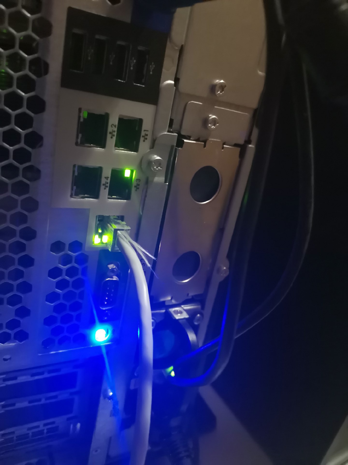 hp4.jpg