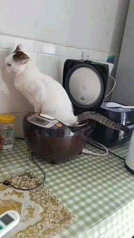 i.jpg