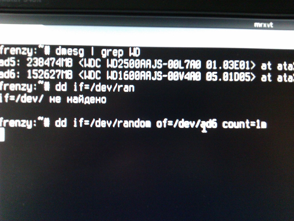 IMAG0054.jpg