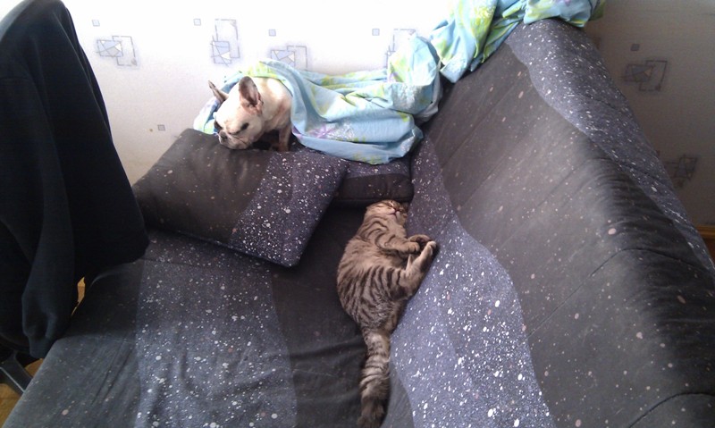 IMAG0087.jpg