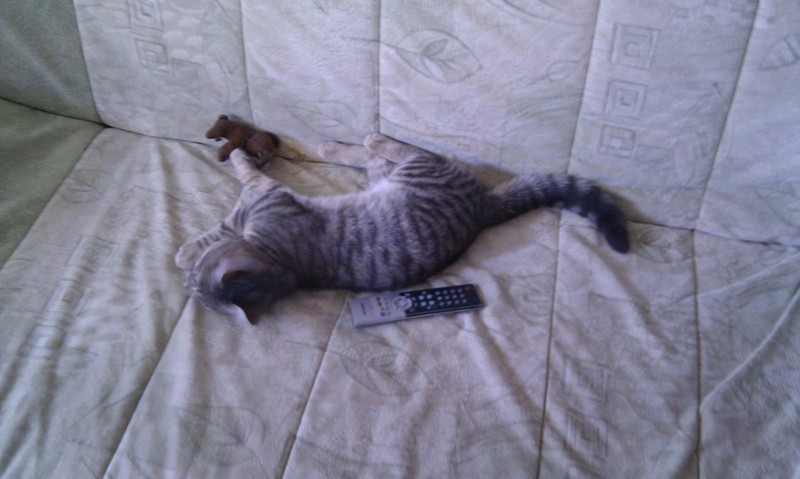 IMAG0089.jpg