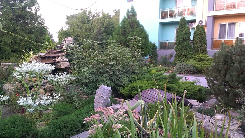 IMAG0100-1.jpg