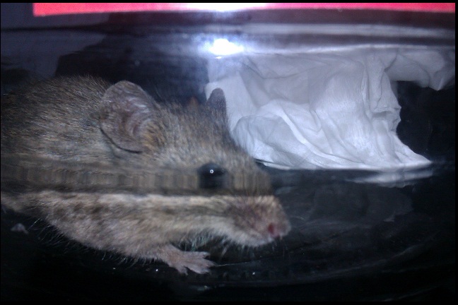 IMAG0440.jpg