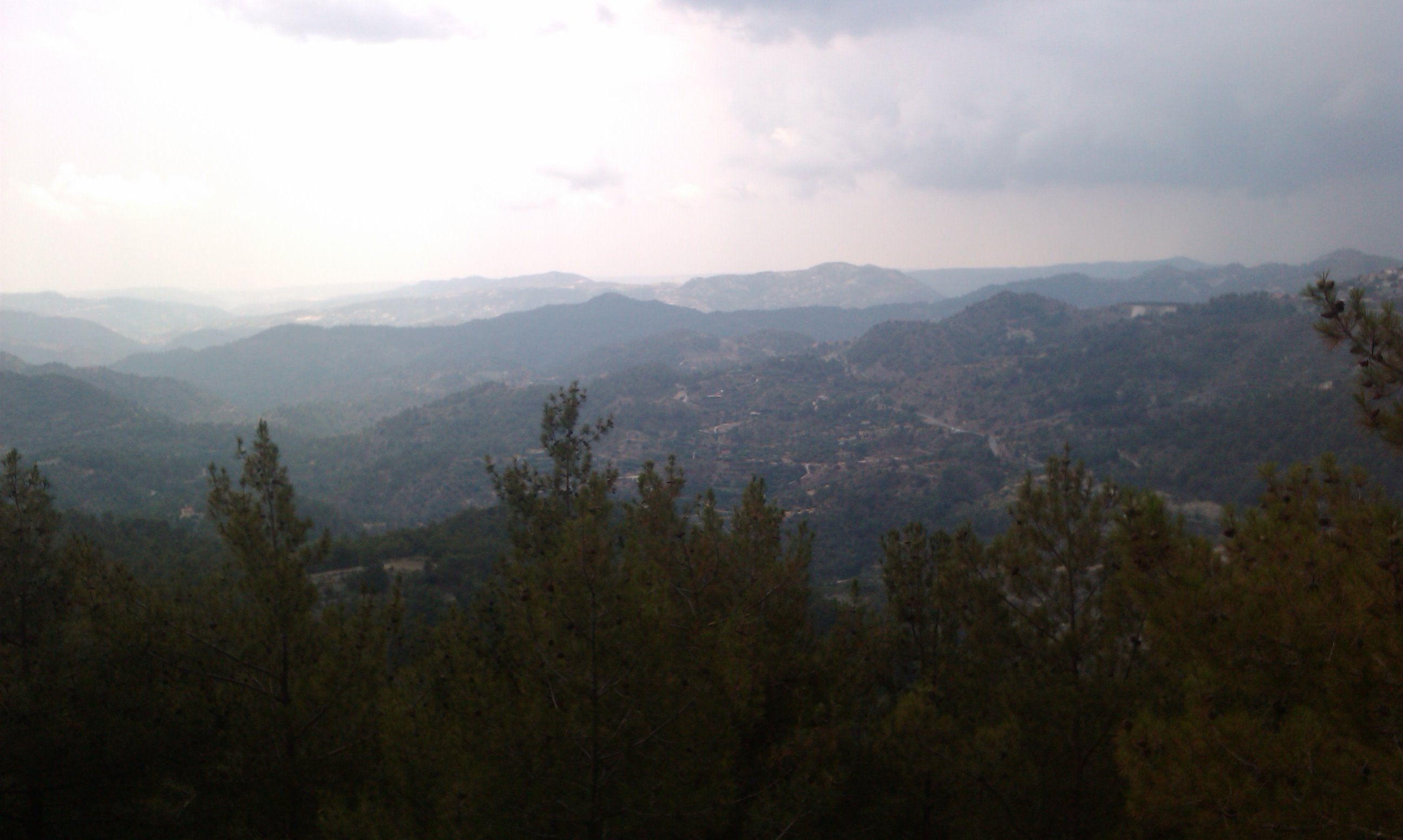 IMAG0483.jpg
