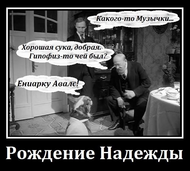 image (1).jpg