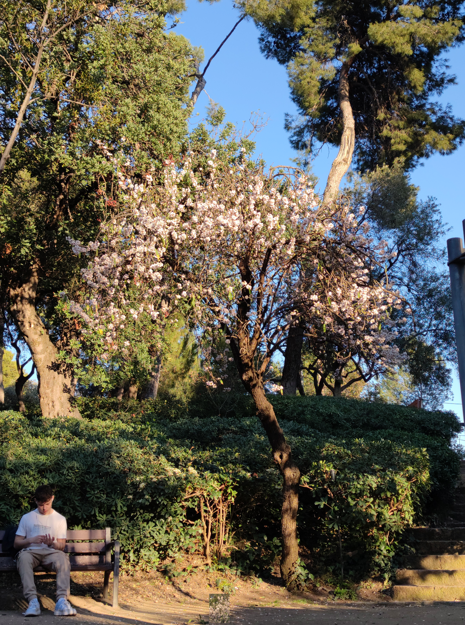 image_2023-02-20_02-14-44.png