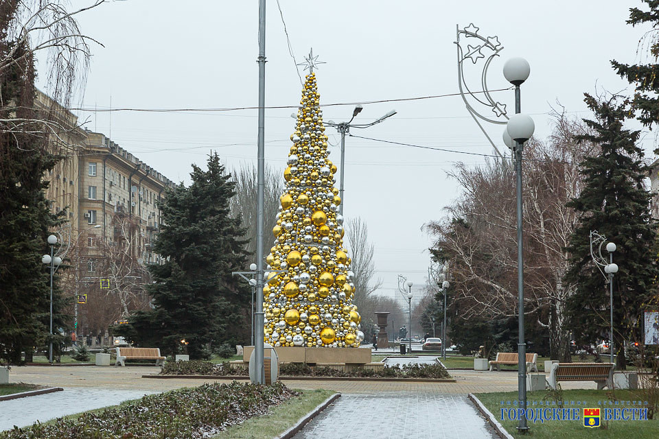 image (20).jpg