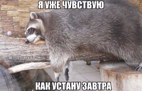 image (3).jpg