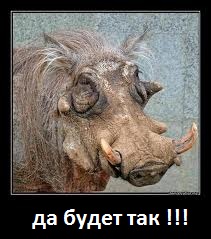 images.jpg